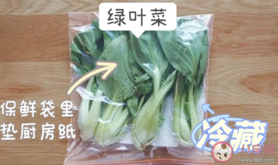 如何正确保存蔬菜 不同种类蔬菜如何保存