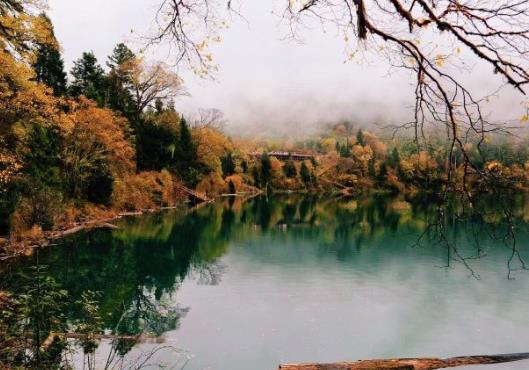 行程卡星号怎么去掉?行程卡带星号还能回家吗