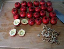 制作冰糖葫芦的好方法 如何自制冰糖葫芦？2