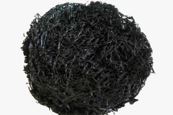 紫菜什么人不合适吃 紫菜和海带有什么区别