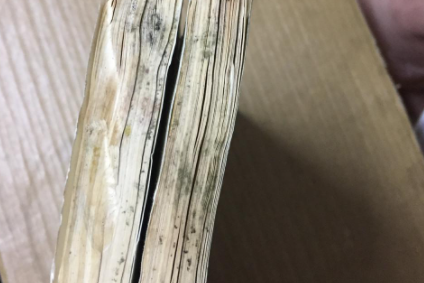 书受潮发霉怎么恢复原样2