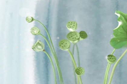 进入五月份如何养生 养生注意事项 进入五月份如何养生 养生注意事项