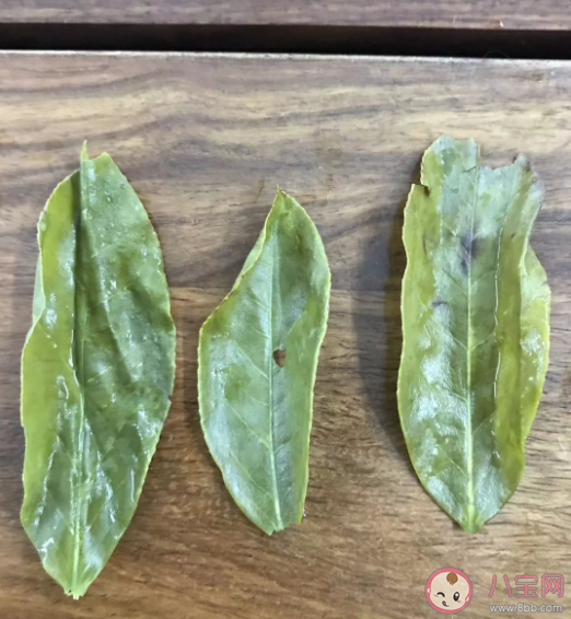 鸭屎香哪个品种最好喝 喝鸭屎香有什么好处功效