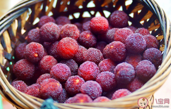 杨梅上有虫子和什么有关 新鲜杨梅的购买技巧 杨梅上有虫子和什么有关 新鲜杨梅的购买技巧