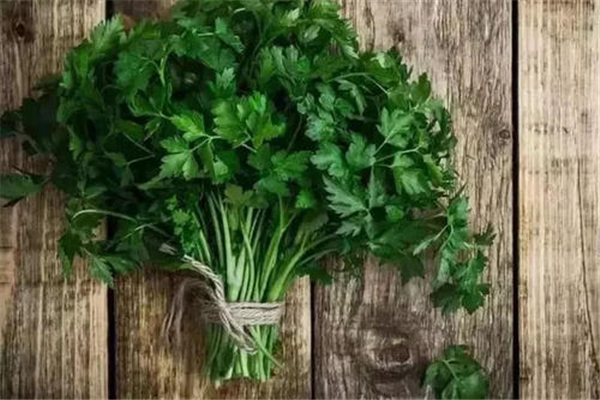 香菜凉拌要焯水吗 香菜凉拌的做法 香菜凉拌要焯水吗 香菜凉拌的做法