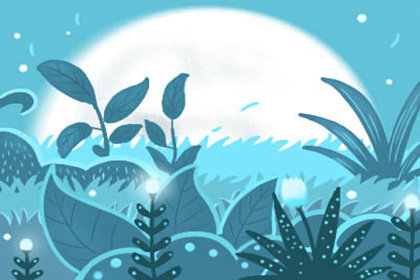 夏季吃哪些水果好,玲琅满目挑花眼 夏季吃哪些水果好,玲琅满目挑花眼