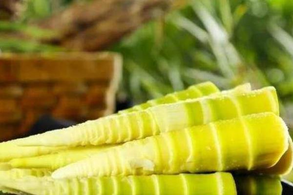 春笋要剥到什么程度 春笋要怎么保存 春笋要剥到什么程度 春笋要怎么保存