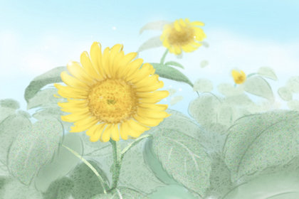 进入五月份如何养生 养生注意事项 进入五月份如何养生 养生注意事项