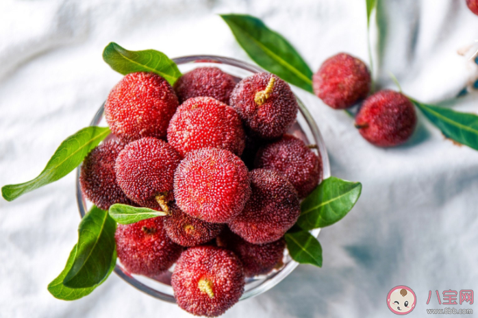 杨梅上有虫子和什么有关 新鲜杨梅的购买技巧 杨梅上有虫子和什么有关 新鲜杨梅的购买技巧