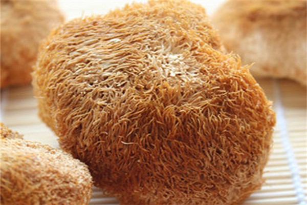 猴头菇可以降血糖吗 猴头菇适合什么人群 猴头菇可以降血糖吗 猴头菇适合什么人群