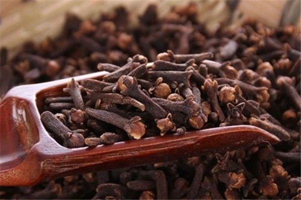 丁香对胃有什么好处 丁香养胃还是伤胃 丁香对胃有什么好处 丁香养胃还是伤胃