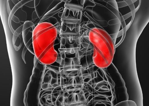 体检肾结晶但是没有症状是怎么回事?体检肾结晶是很多人都有吗