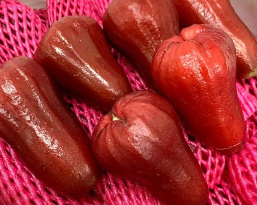 莲雾和青枣哪个好吃?莲雾和甘蔗哪个水分多