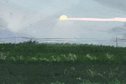 饮食文化 饮食文化