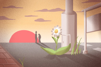 番石榴茶 番石榴茶