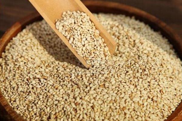 白芝麻的副作用与禁忌 白芝麻是发物吗 白芝麻的副作用与禁忌 白芝麻是发物吗