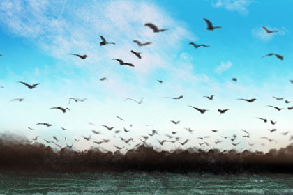 广东特色美食小吃 有你喜欢的吗