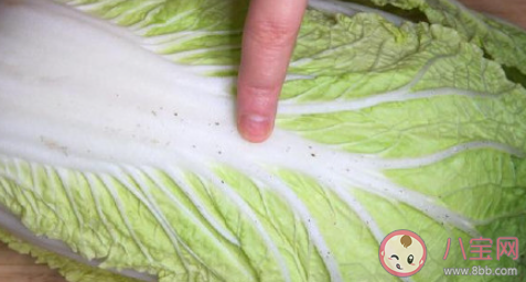 白菜芯的黑点是什么 有黑点的白菜还能吃吗 白菜芯的黑点是什么 有黑点的白菜还能吃吗