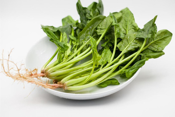 菠菜是否要焯水 菠菜不焯水可以吃吗 菠菜是否要焯水 菠菜不焯水可以吃吗