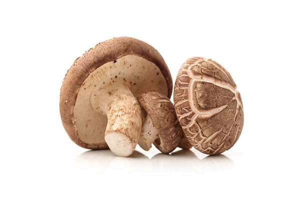 香菇是不是发物 香菇的嘌呤含量高不高 香菇是不是发物 香菇的嘌呤含量高不高