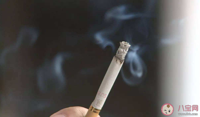 二手烟除了容易损害儿童的呼吸系统还可能引起什么 蚂蚁庄园4月1日正确答案 二手烟除了容易损害儿童的呼吸系统还可能引起什么 蚂蚁庄园4月1日正确答案