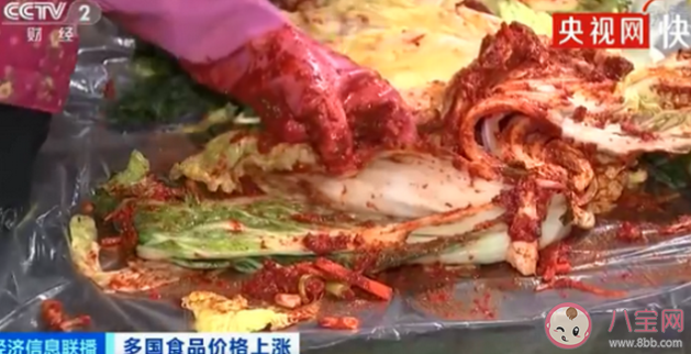 韩国腌20棵泡菜成本近2000元 韩国人为什么喜欢吃泡菜 韩国腌20棵泡菜成本近2000元 韩国人为什么喜欢吃泡菜