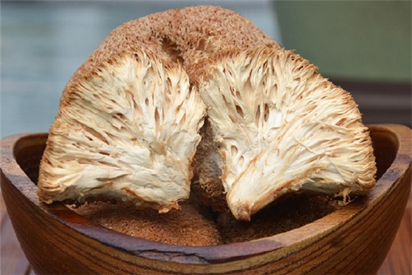 猴头菇可以降血糖吗 猴头菇适合什么人群 猴头菇可以降血糖吗 猴头菇适合什么人群