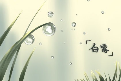 白露为什么要吃龙眼 吃龙眼的讲究 白露为什么要吃龙眼 吃龙眼的讲究