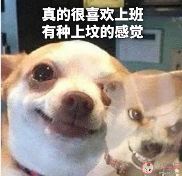 真的很喜欢造句大全 怎么用真的很喜欢造句 真的很喜欢造句大全 怎么用真的很喜欢造句