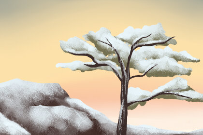 霜降养生喝什么茶好 有哪些功效和作用 霜降养生喝什么茶好 有哪些功效和作用