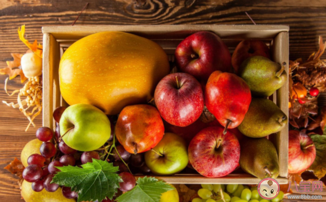 春节的水果怎么买 过年水果吃不完怎么储存 春节的水果怎么买 过年水果吃不完怎么储存