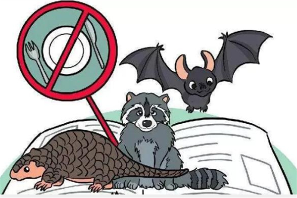 野味指的是什么 野味的危害 野味指的是什么 野味的危害