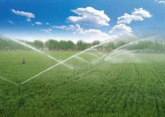 2021年农田补贴在哪个部门去查询?2021年的土地补贴下来了吗