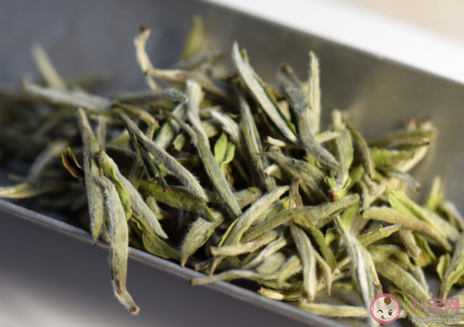 不同茶叶怎么保存 茶叶的五个存储禁忌 不同茶叶怎么保存 茶叶的五个存储禁忌
