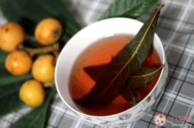 枇杷叶是用老叶还是嫩叶煮水 枇杷叶食用不当会怎样