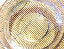 桑葚酒怎么泡制 教你做超简单的桑葚酒5