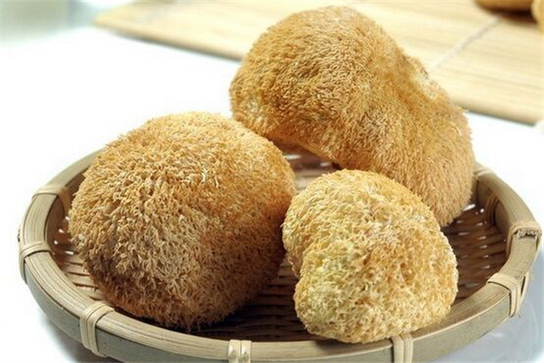 猴头菇发白是不是霉了 猴头菇怎么看它是不是变质 猴头菇发白是不是霉了 猴头菇怎么看它是不是变质