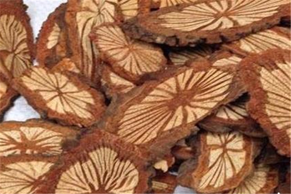 大血藤可以泡水喝吗 大血藤泡水喝有什么用处 大血藤可以泡水喝吗 大血藤泡水喝有什么用处