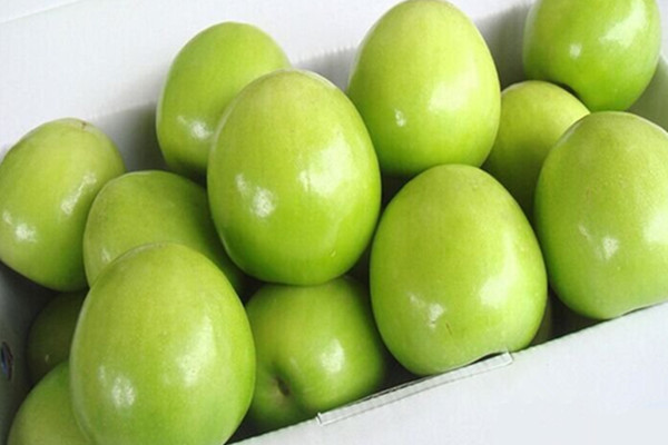 青枣能补血吗 青枣能煮着吃吗 青枣能补血吗 青枣能煮着吃吗