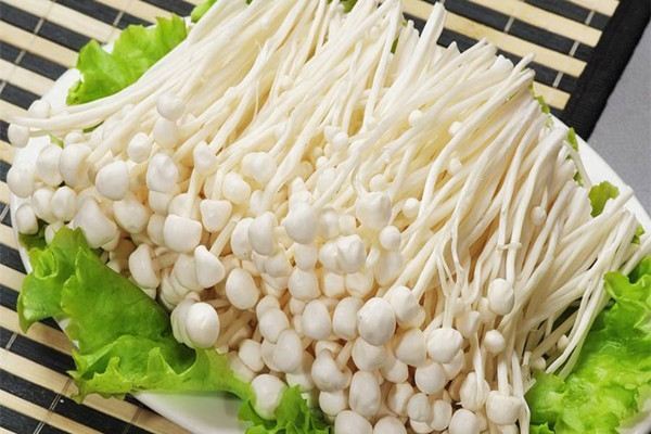 金针菇可以放多久 金针菇在冰箱冷藏可以放几天 金针菇可以放多久 金针菇在冰箱冷藏可以放几天