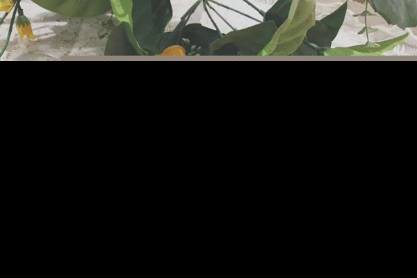 卸妆油会不会过敏 卸妆油过敏了怎么办