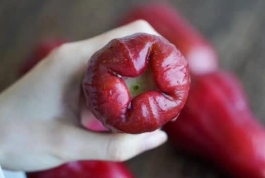 莲雾和青枣哪个好吃?莲雾和甘蔗哪个水分多