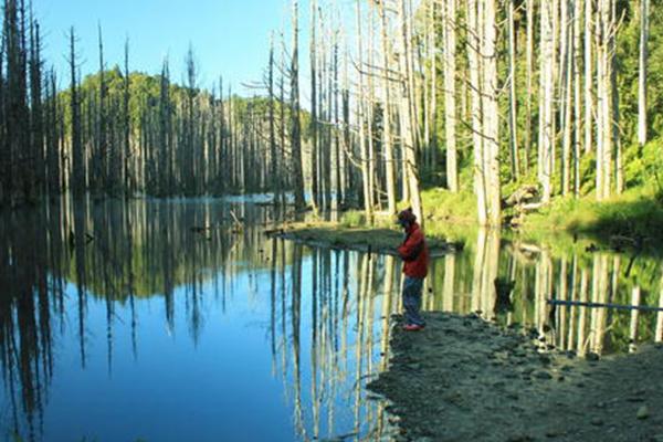 台湾十大爬山好去处