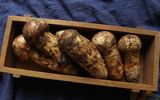 松茸表面的黑色需要刮掉吗 松茸不能洗吗