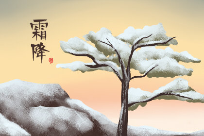 霜降养生喝什么茶好 有哪些功效和作用 霜降养生喝什么茶好 有哪些功效和作用