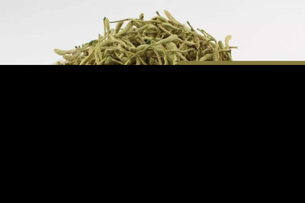 金银花泡水能治咽炎吗 金银花泡水能治咳嗽吗 金银花泡水能治咽炎吗 金银花泡水能治咳嗽吗