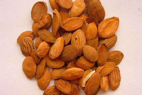 桃仁可以泡水喝吗 桃仁泡水喝方法 桃仁可以泡水喝吗 桃仁泡水喝方法