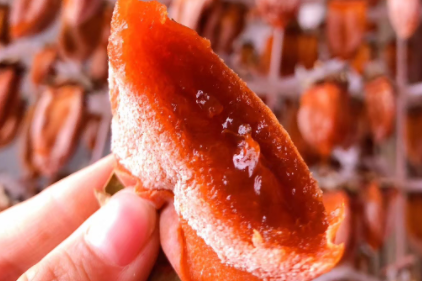 柿饼吃多了得结石吗4