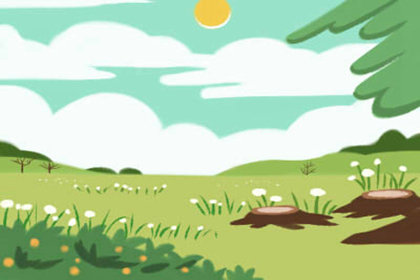 酒桌文化 酒桌文化