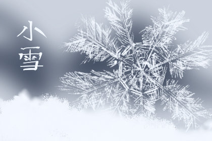 小雪吃哪些食物适合温补 有什么功效 小雪吃哪些食物适合温补 有什么功效